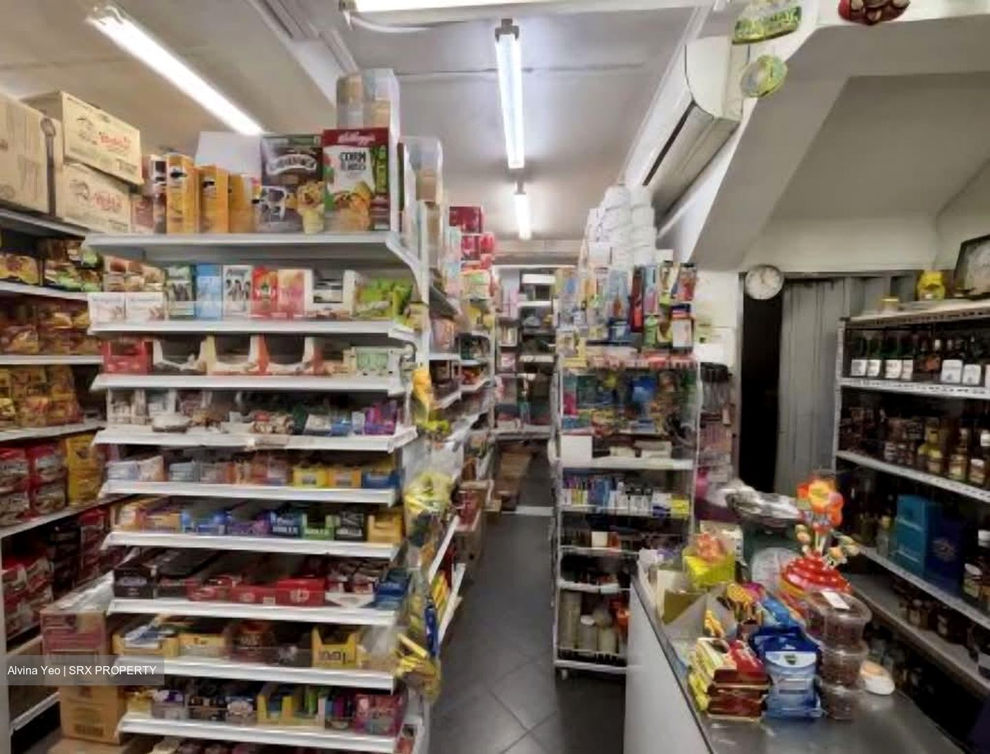 Indus Garden (D3), Shop House #540595711